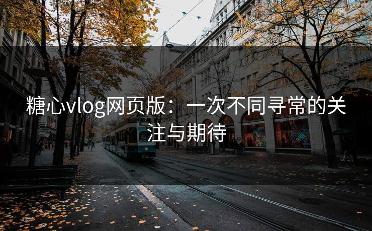 糖心vlog网页版：一次不同寻常的关注与期待