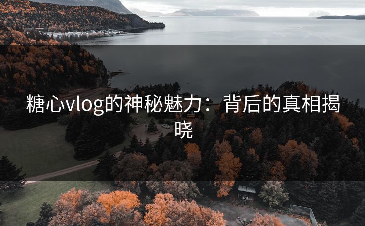 糖心vlog的神秘魅力：背后的真相揭晓