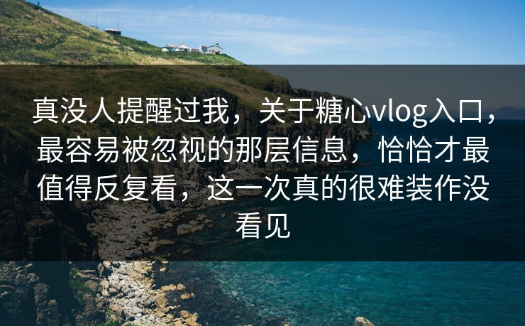 真没人提醒过我，关于糖心vlog入口，最容易被忽视的那层信息，恰恰才最值得反复看，这一次真的很难装作没看见