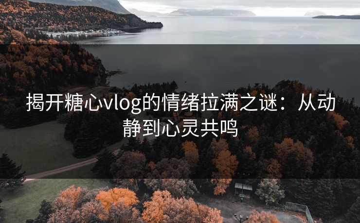 揭开糖心vlog的情绪拉满之谜：从动静到心灵共鸣