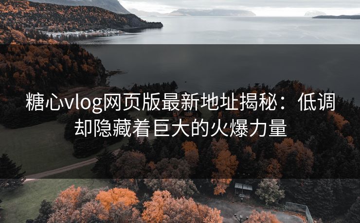 糖心vlog网页版最新地址揭秘：低调却隐藏着巨大的火爆力量