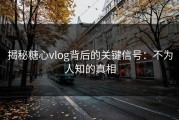 揭秘糖心vlog背后的关键信号：不为人知的真相