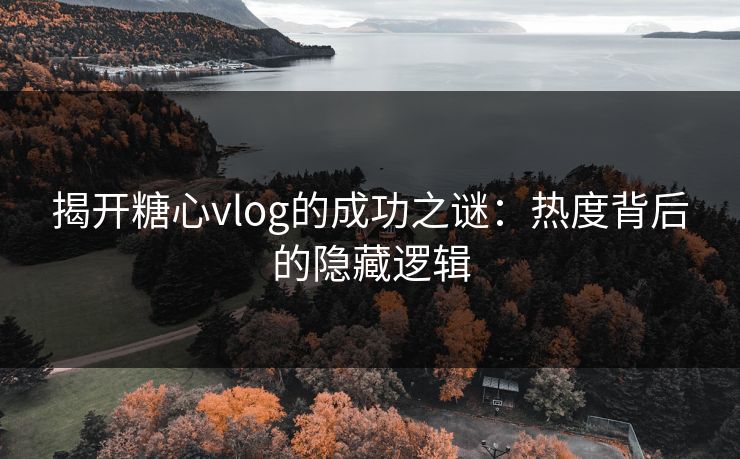 揭开糖心vlog的成功之谜：热度背后的隐藏逻辑
