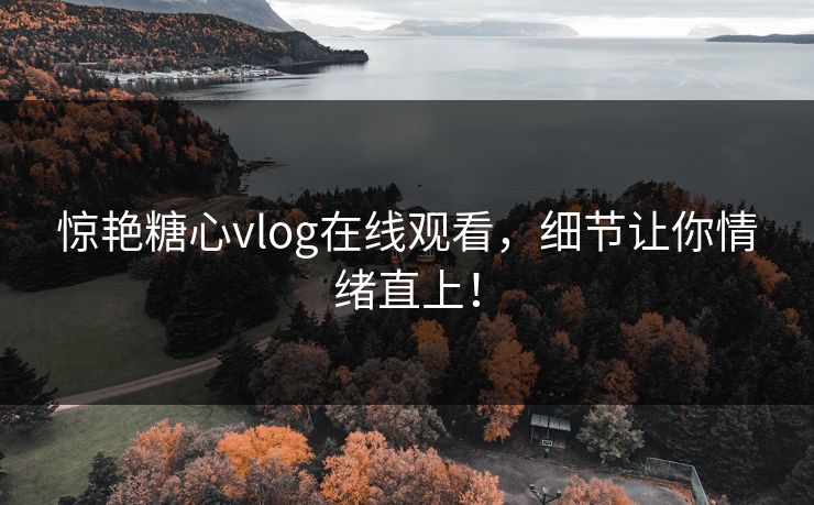 惊艳糖心vlog在线观看，细节让你情绪直上！